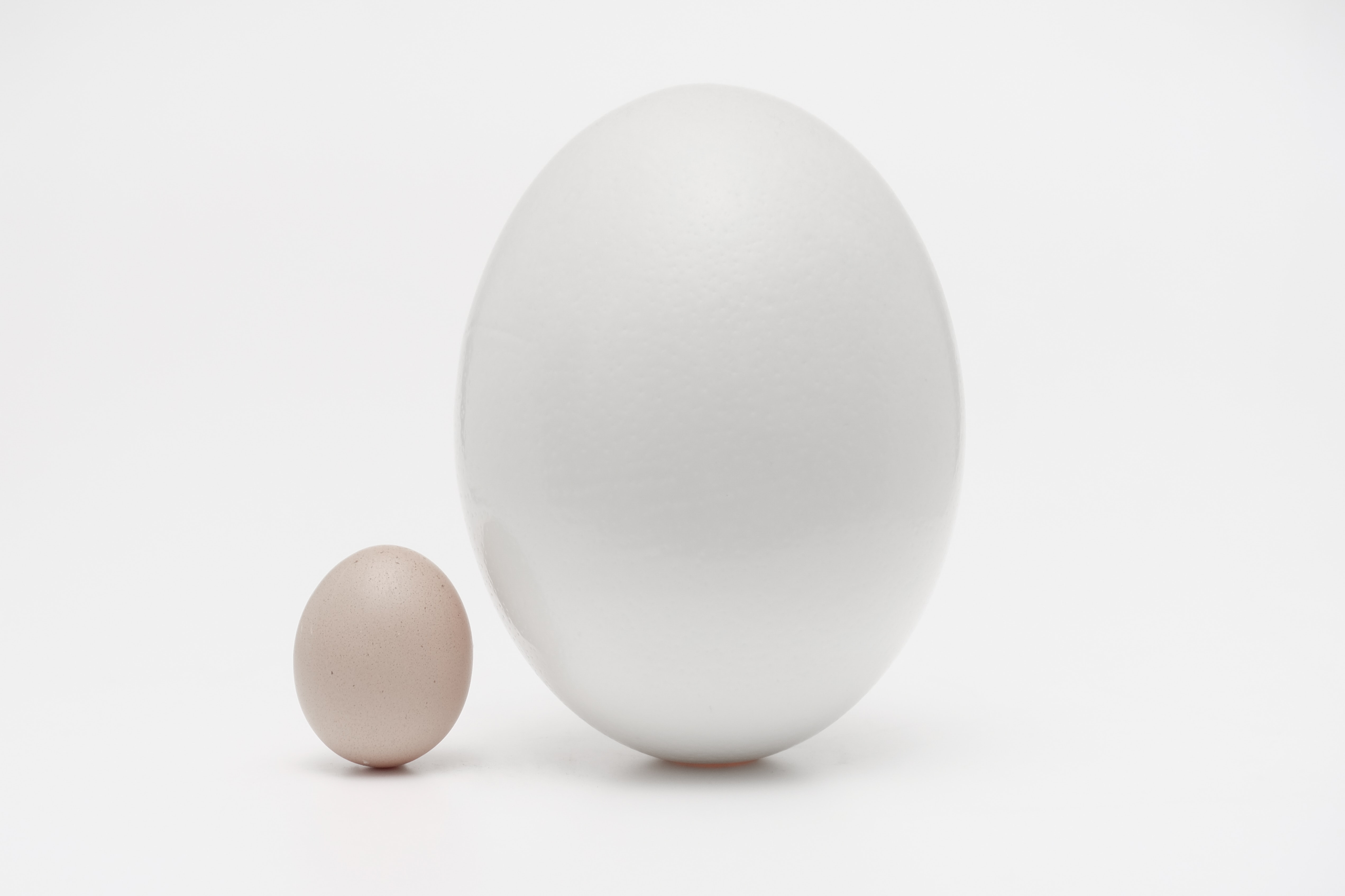 A small egg and a big egg