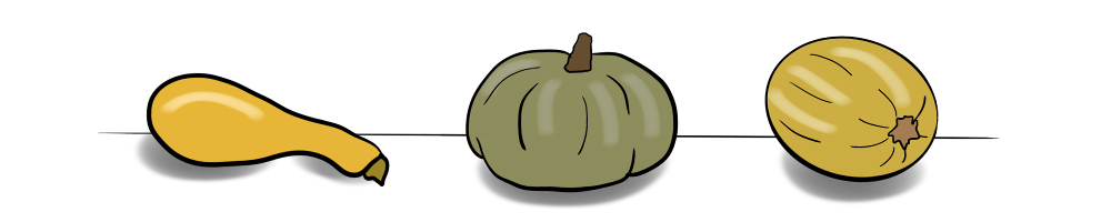 A doodle of squash